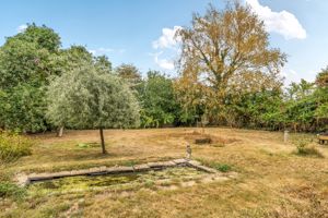 Photo 31- click for photo gallery